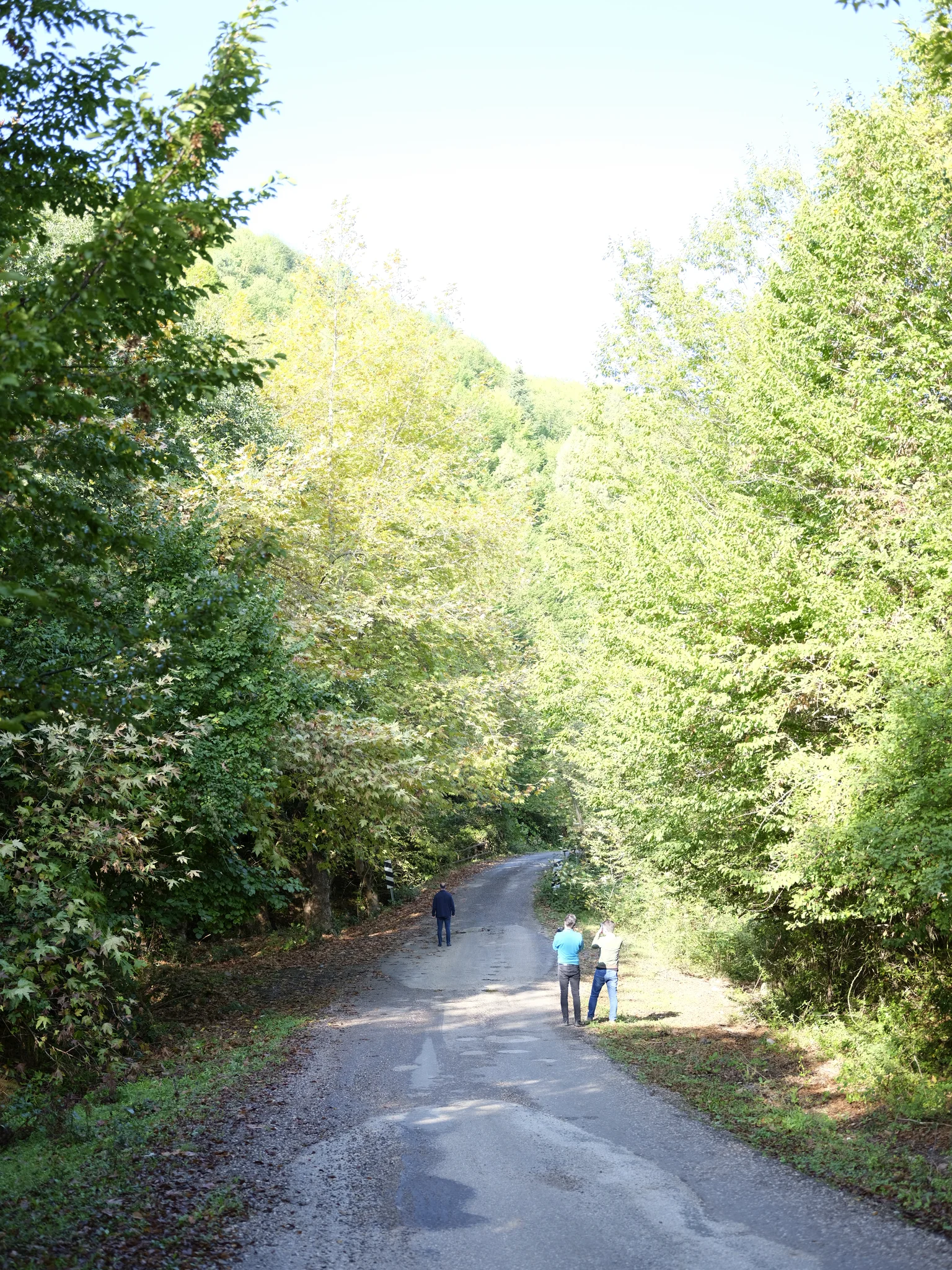 Dirt path through the forest and hikers.